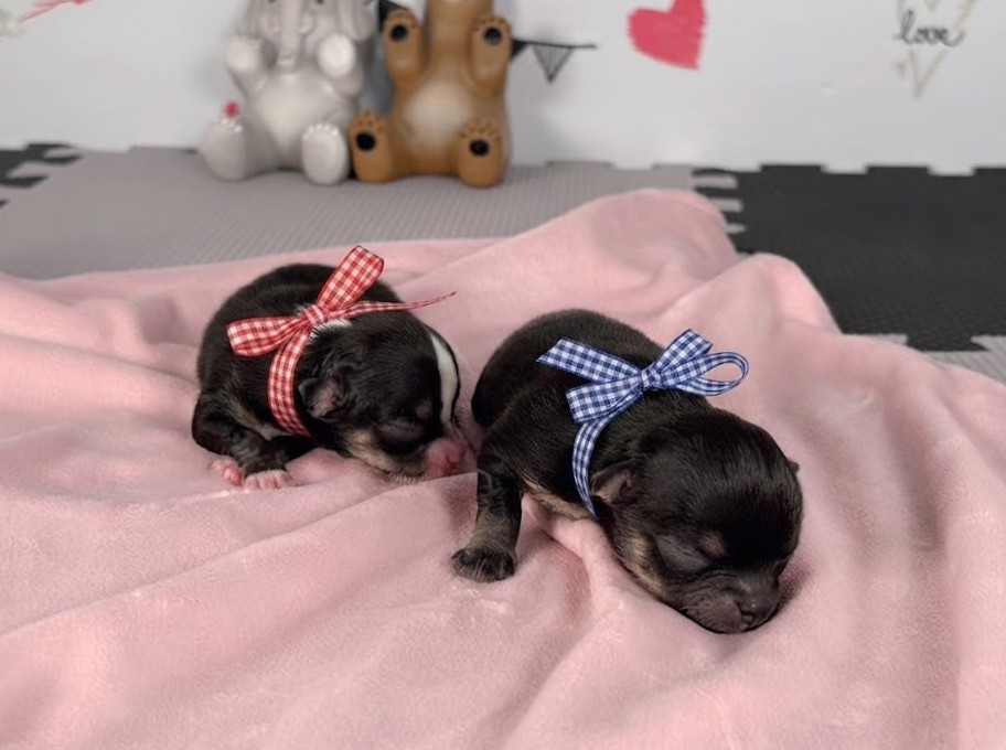 赤ちゃん写真1-3