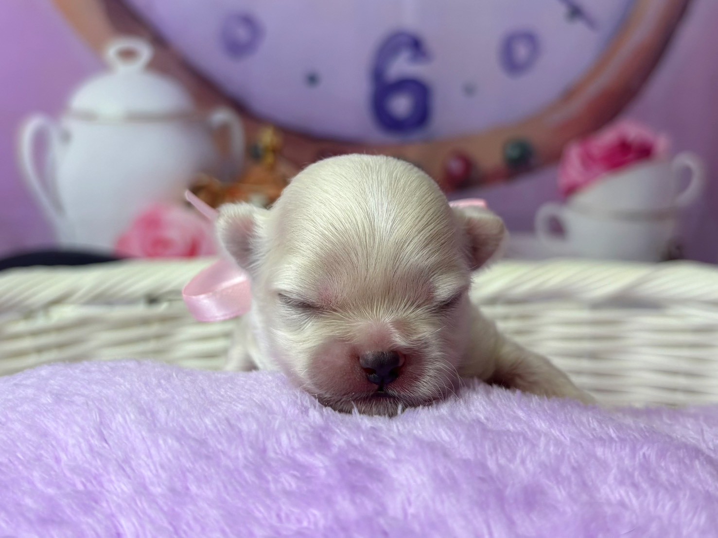 赤ちゃん写真1-1