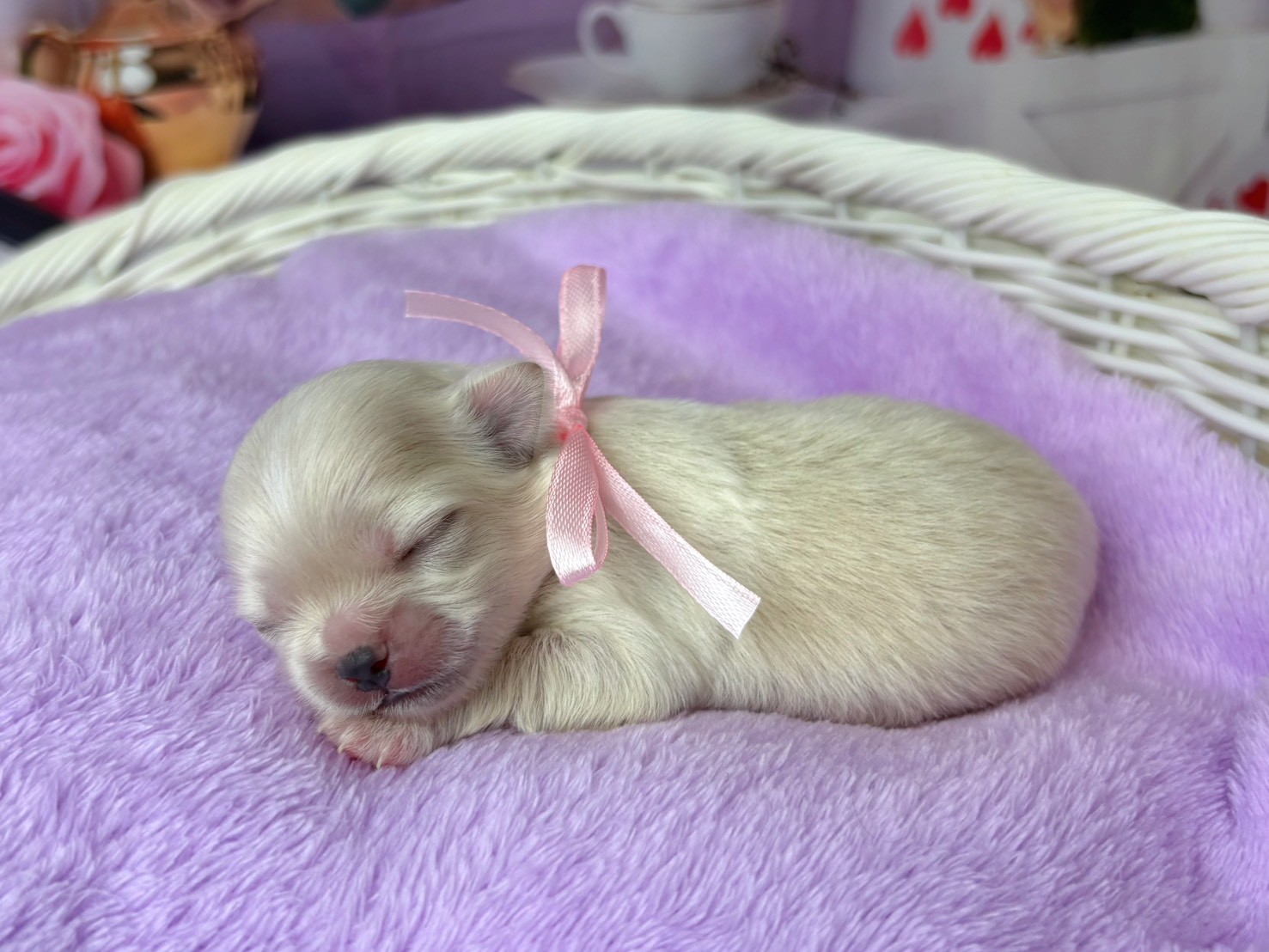 赤ちゃん写真1-2