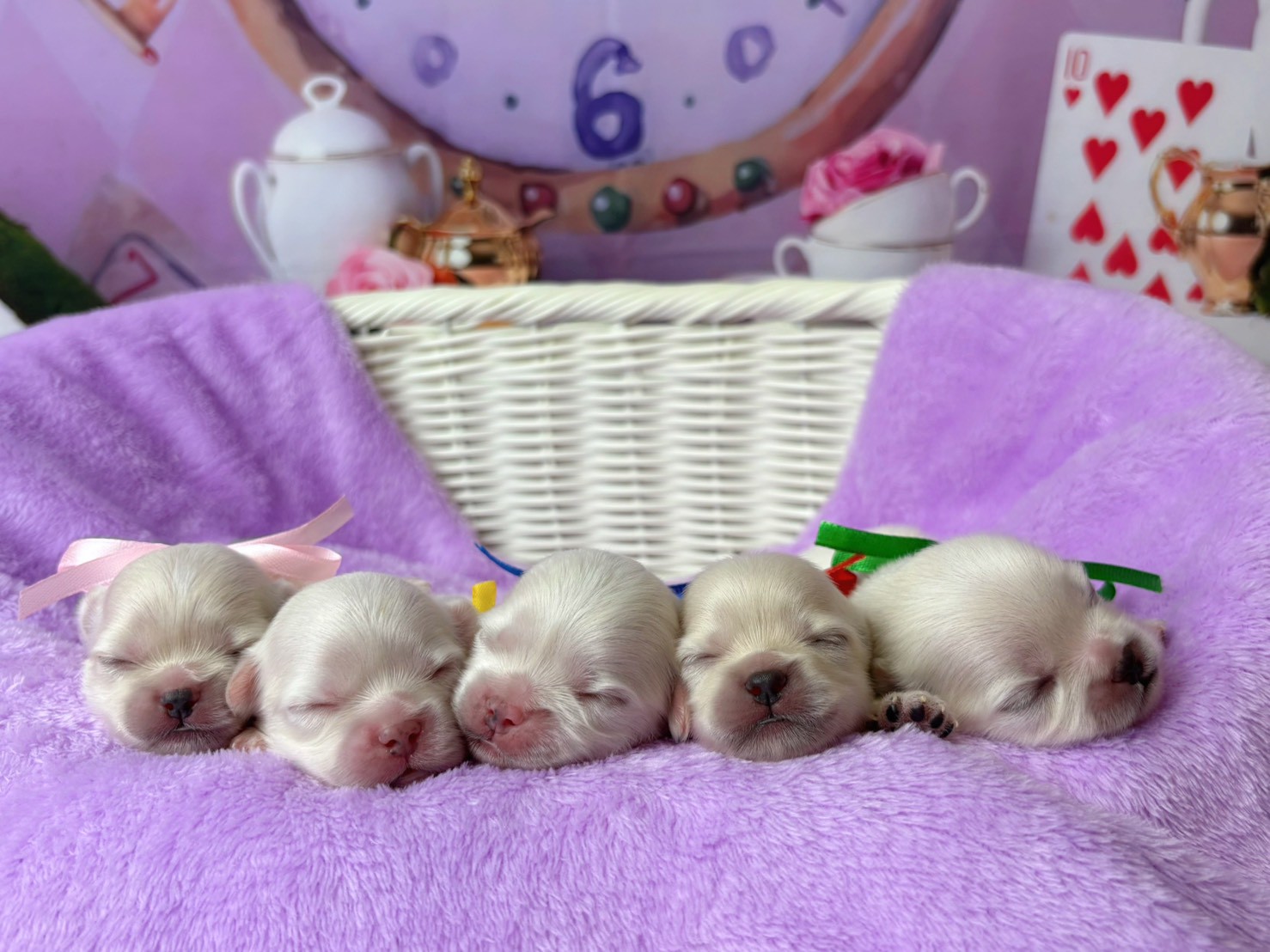 赤ちゃん写真1-3