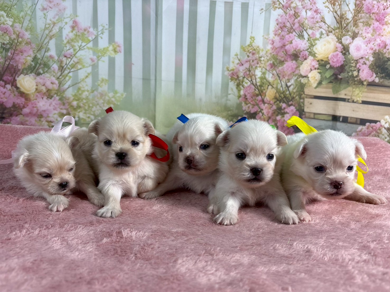 赤ちゃん写真2-3