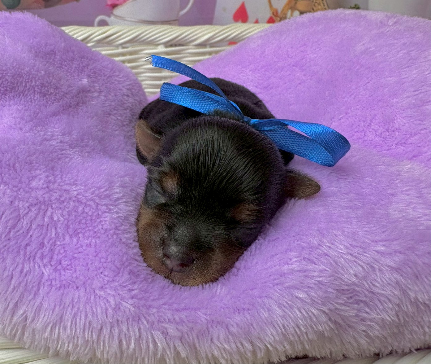赤ちゃん写真1-1