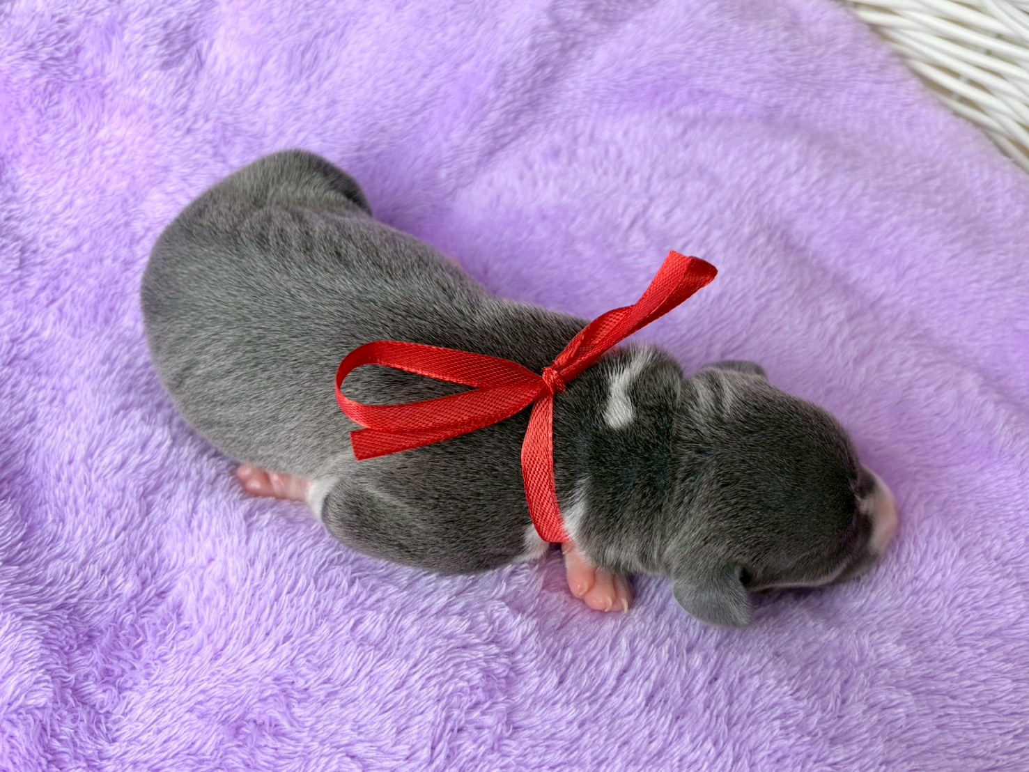 赤ちゃん写真1-3