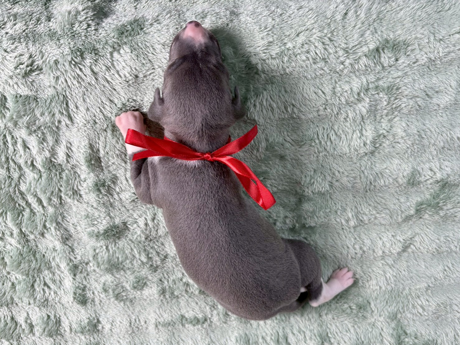 赤ちゃん写真2-3