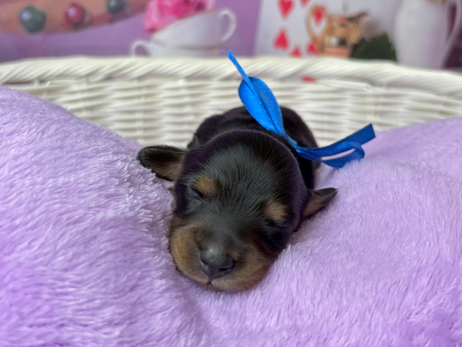 赤ちゃん写真1-1