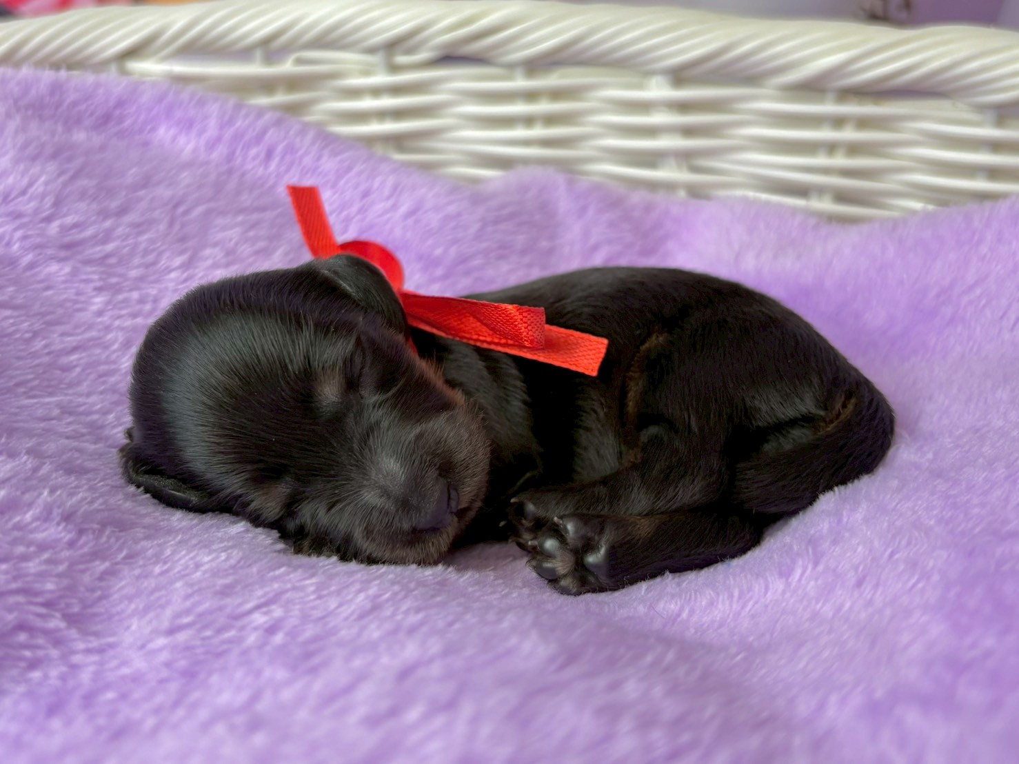 赤ちゃん写真1-2