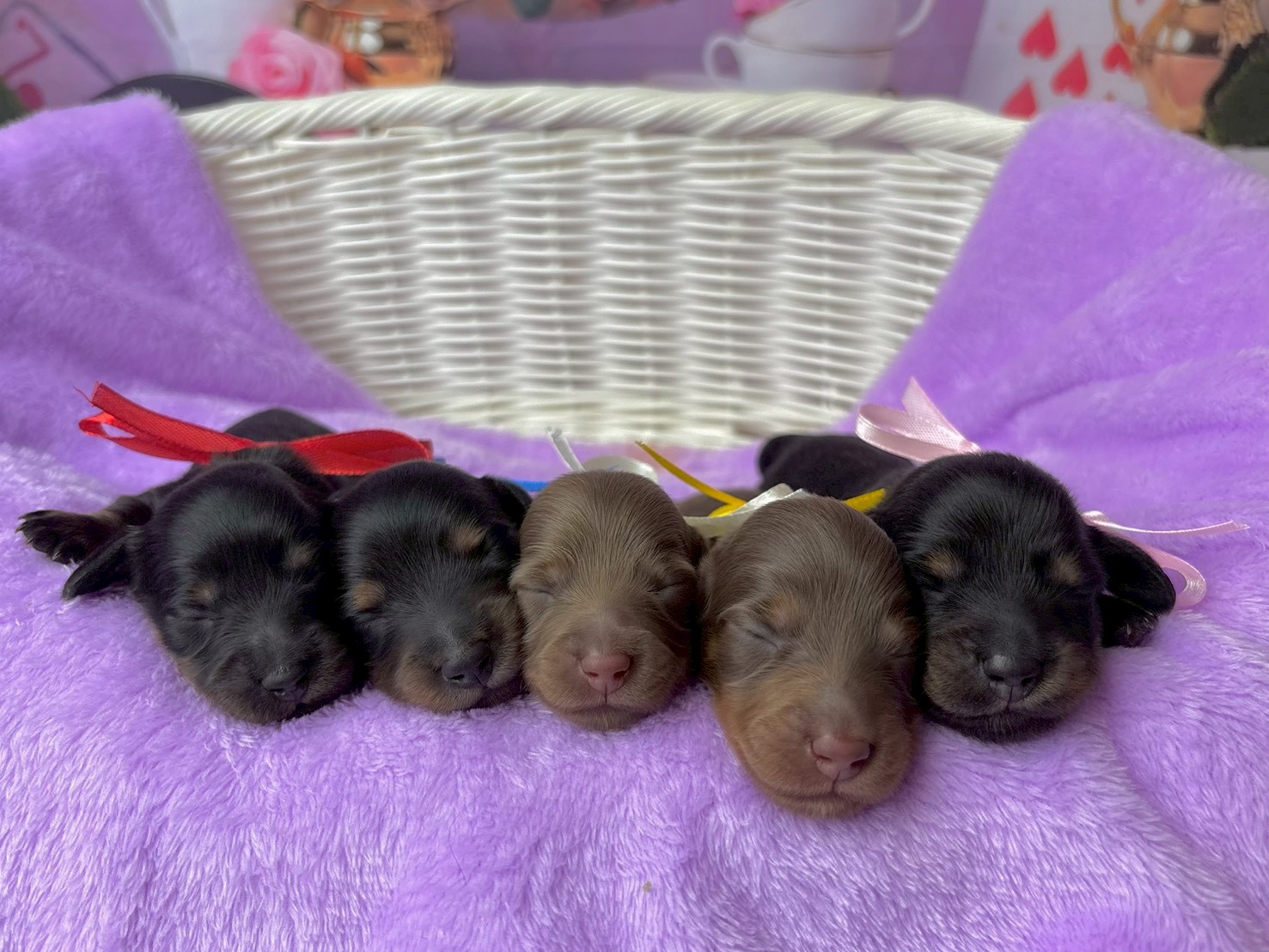 赤ちゃん写真1-3