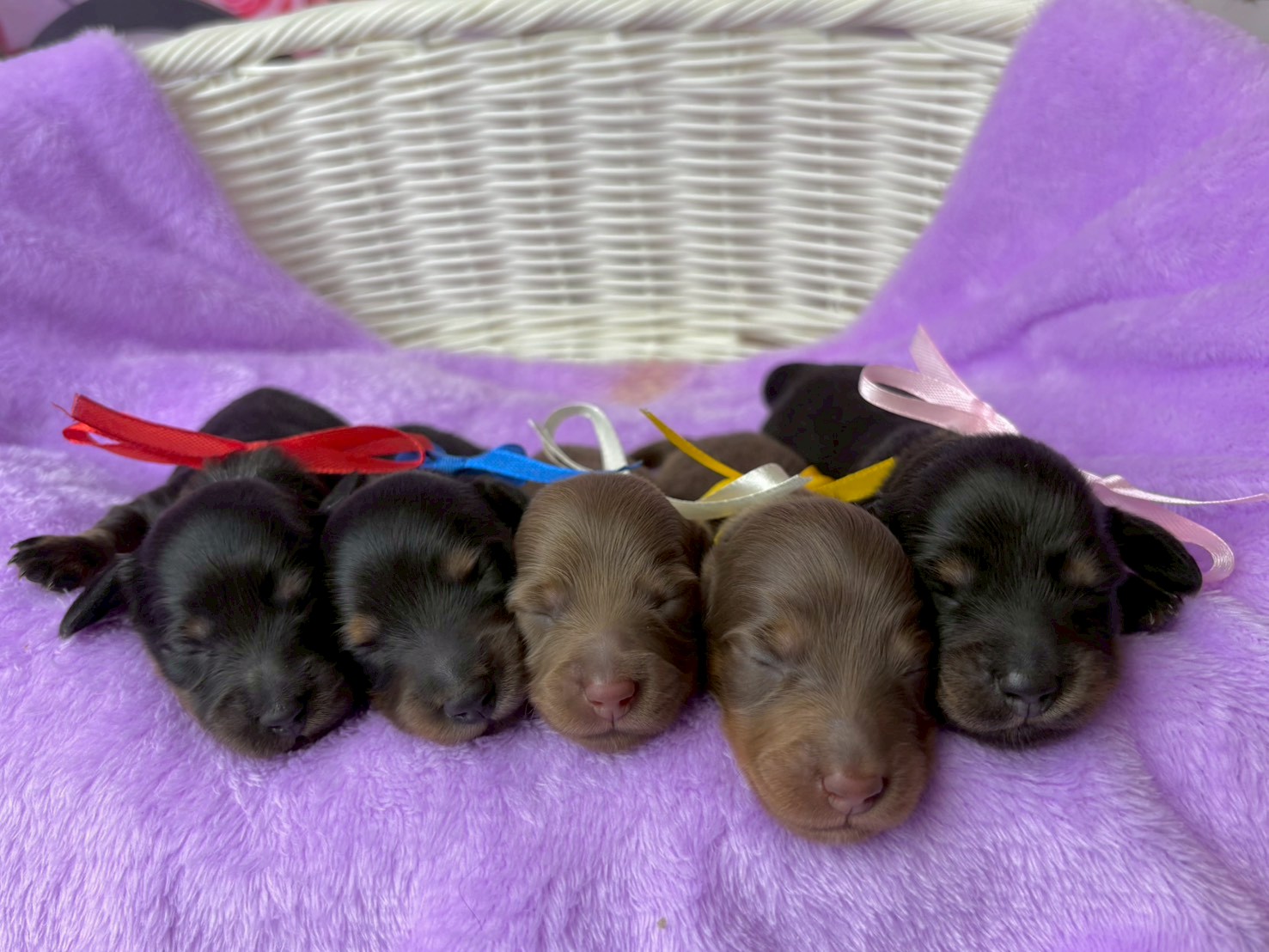 赤ちゃん写真1-3