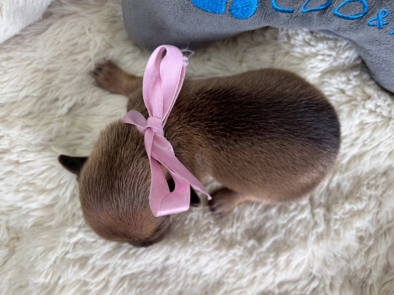 赤ちゃん写真1-3