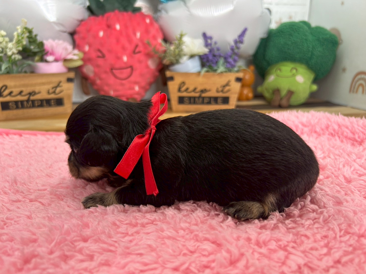 赤ちゃん写真2-2