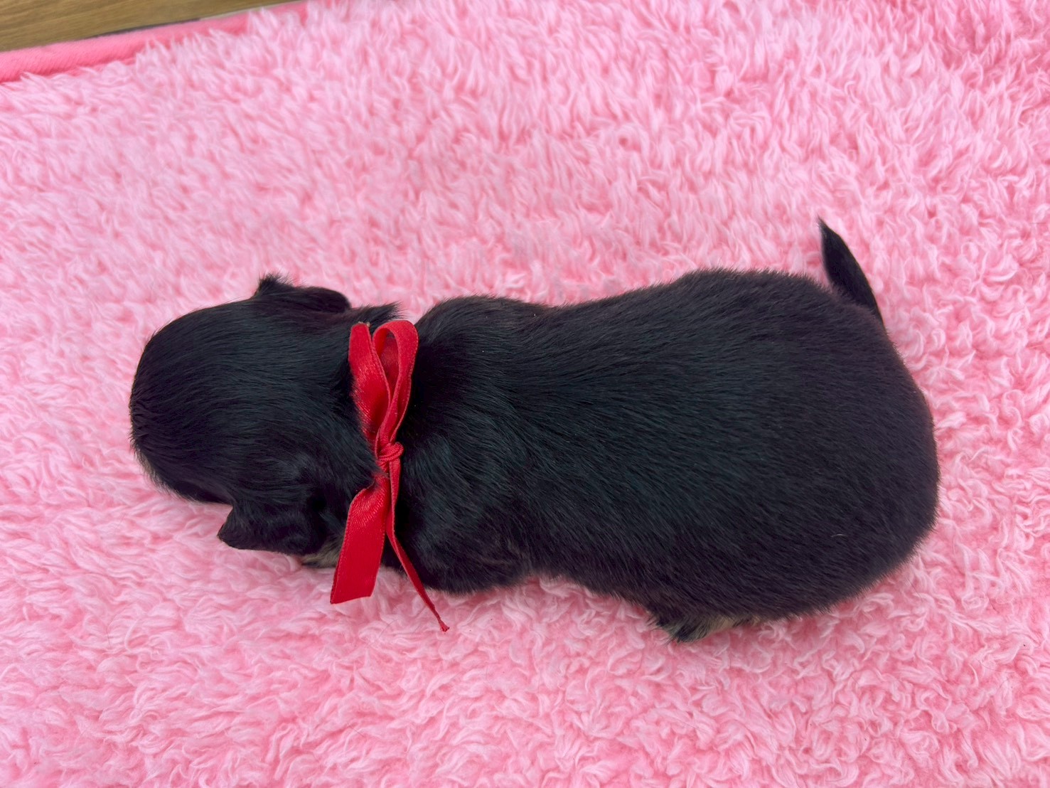 赤ちゃん写真2-3