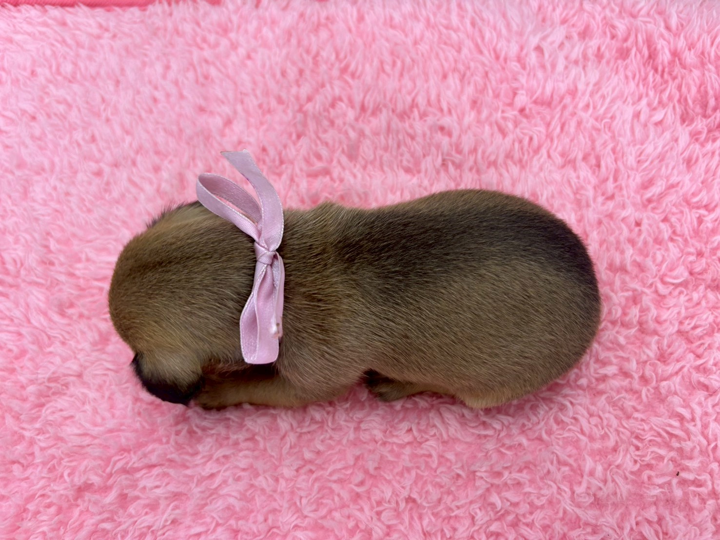 赤ちゃん写真2-3