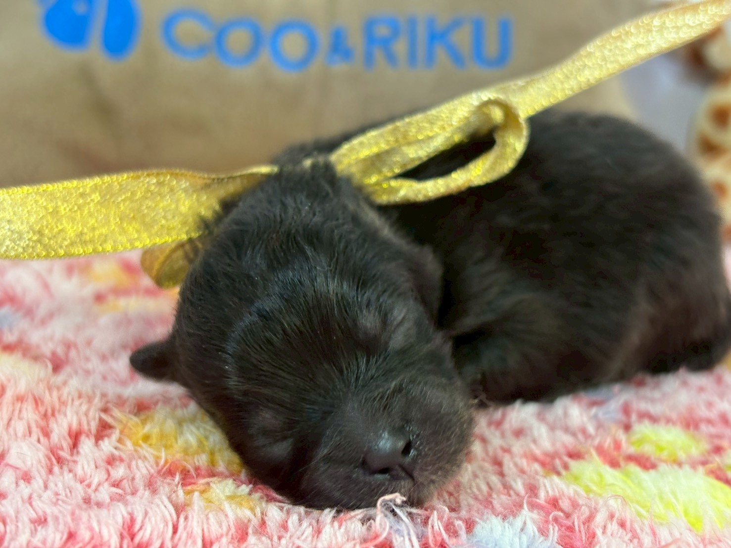 赤ちゃん写真1-1