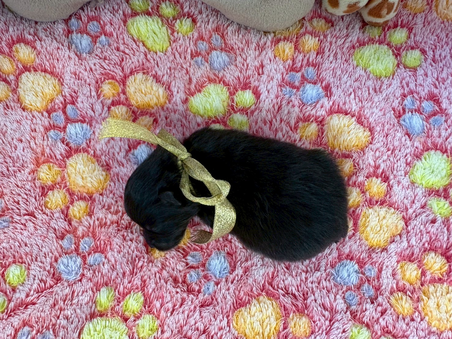 赤ちゃん写真1-3