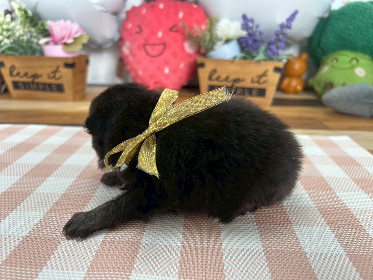 赤ちゃん写真2-2