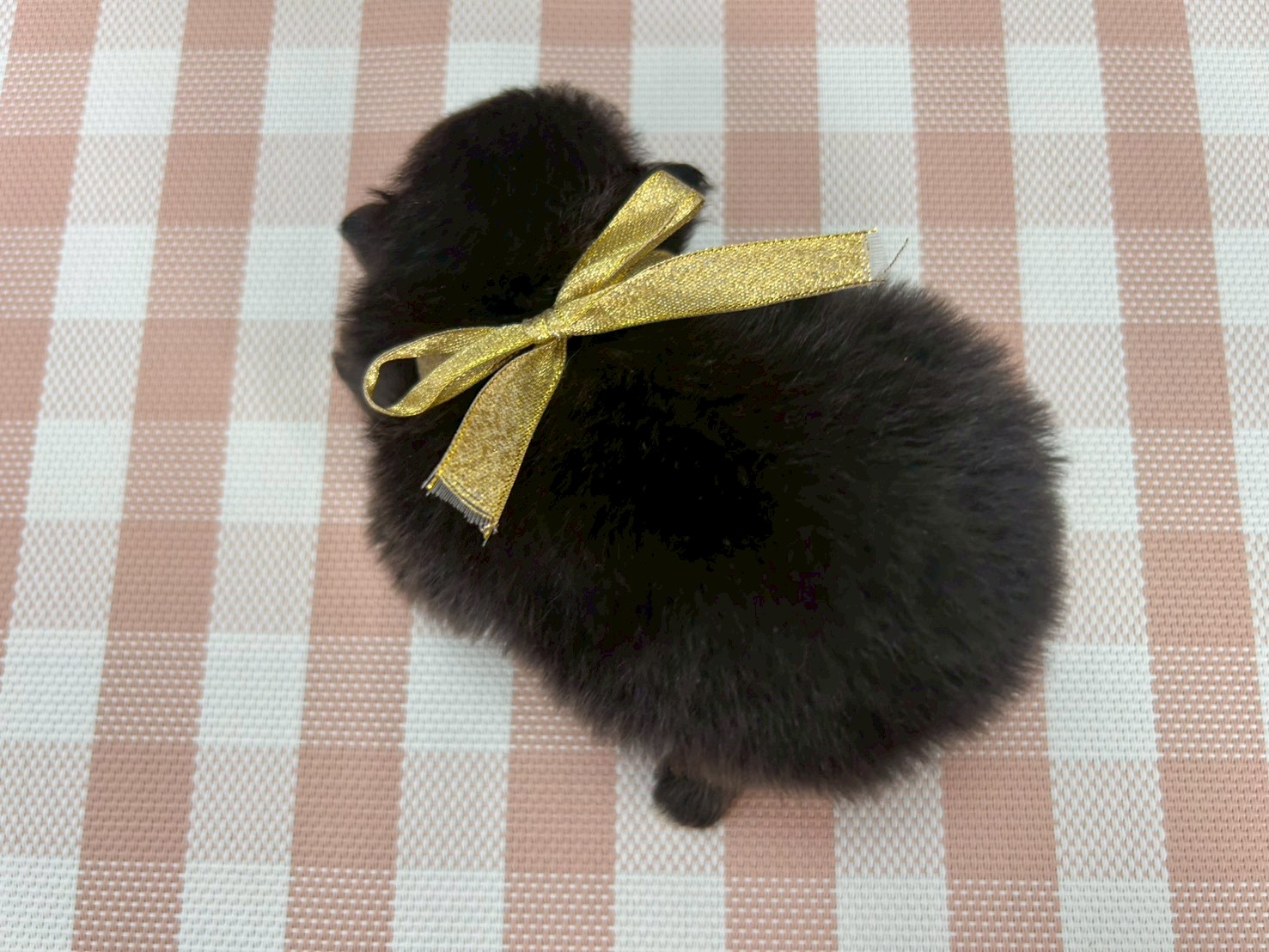 赤ちゃん写真2-3