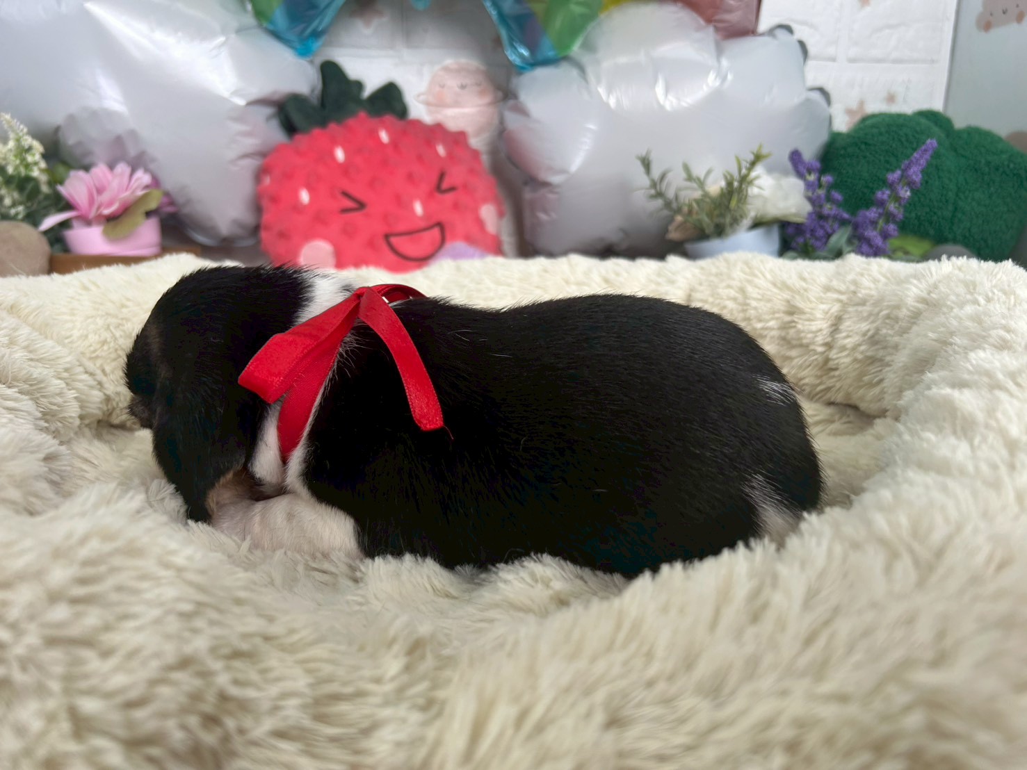赤ちゃん写真2-2