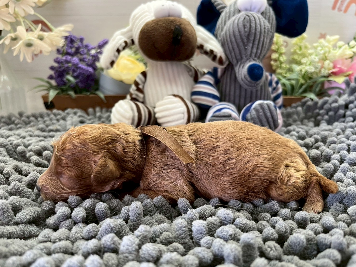 赤ちゃん写真1-2