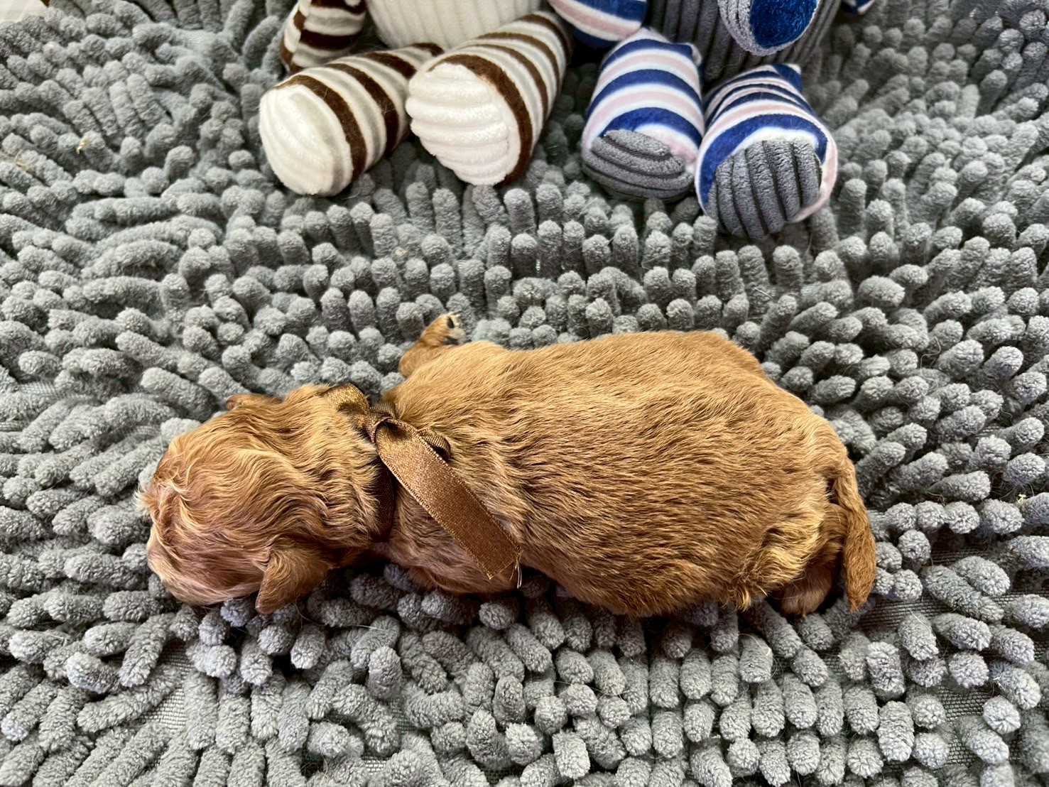 赤ちゃん写真1-3