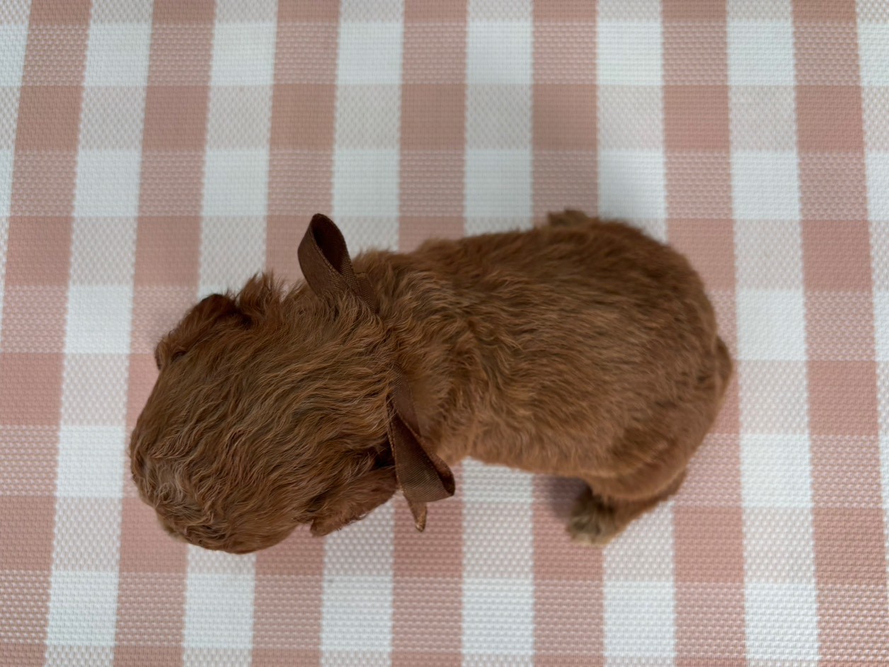 赤ちゃん写真2-3