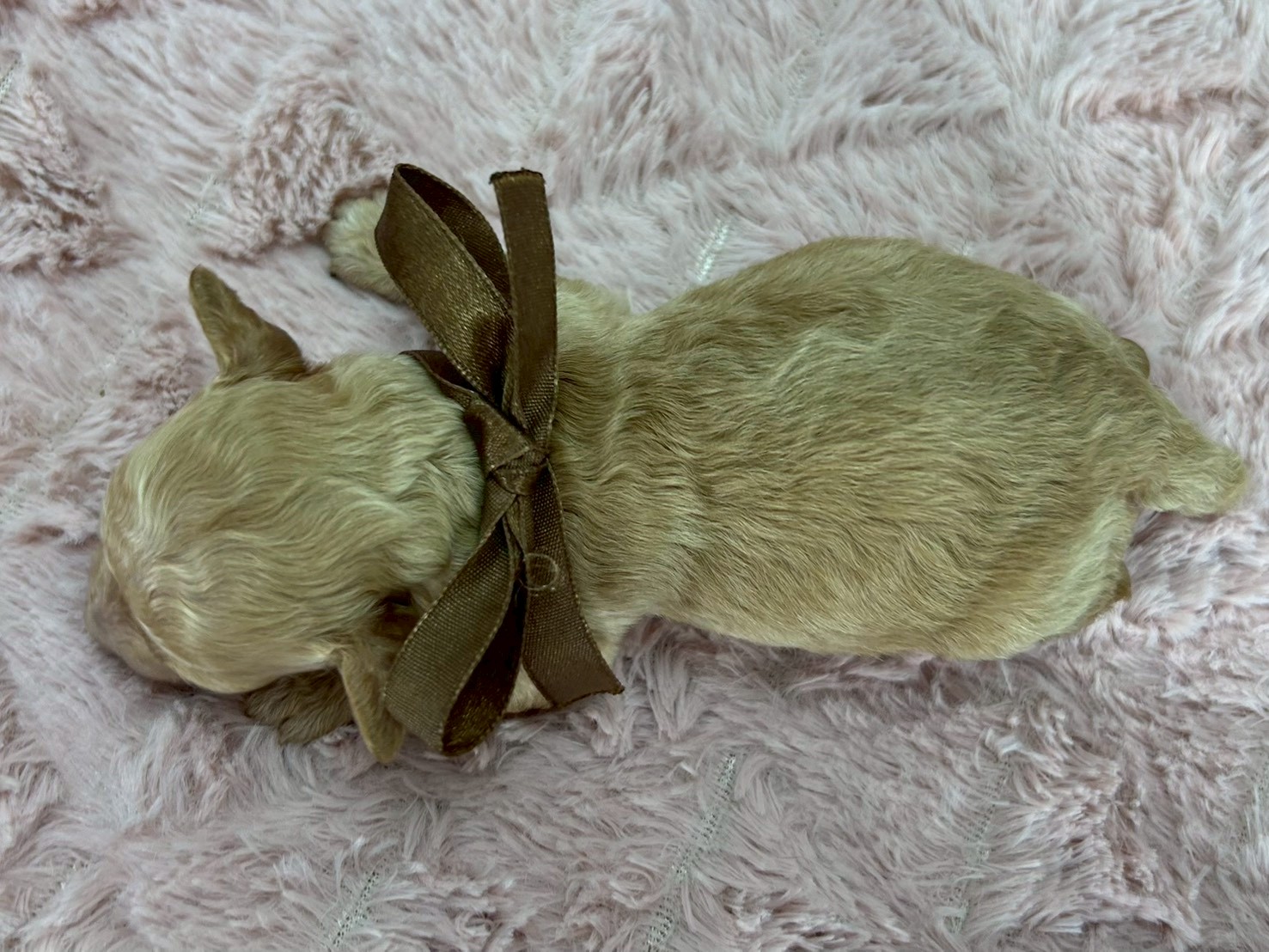 赤ちゃん写真1-3