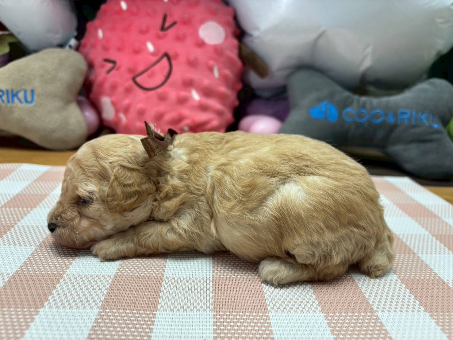 赤ちゃん写真2-2