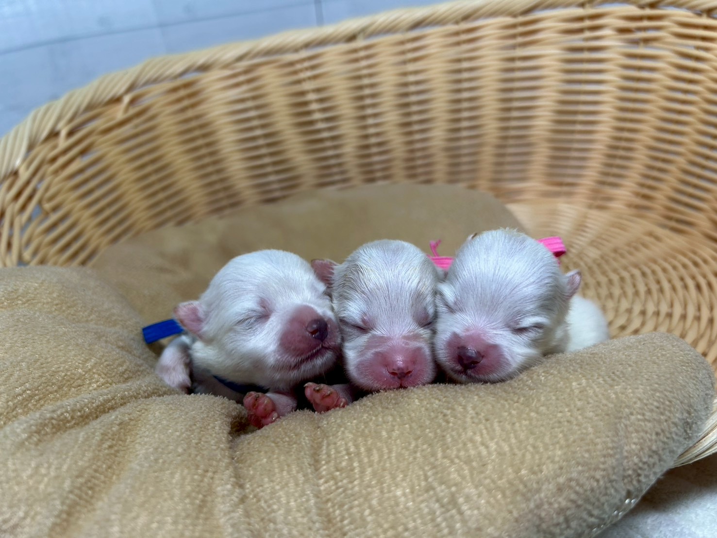 赤ちゃん写真1-3