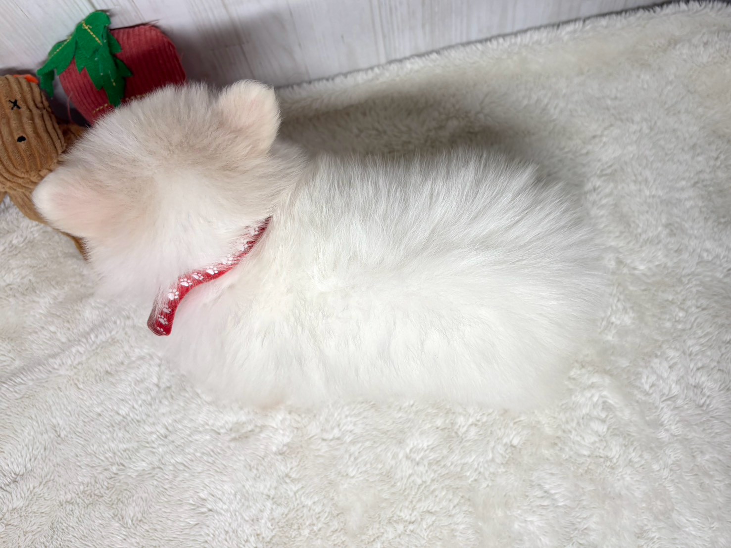 赤ちゃん写真3-3