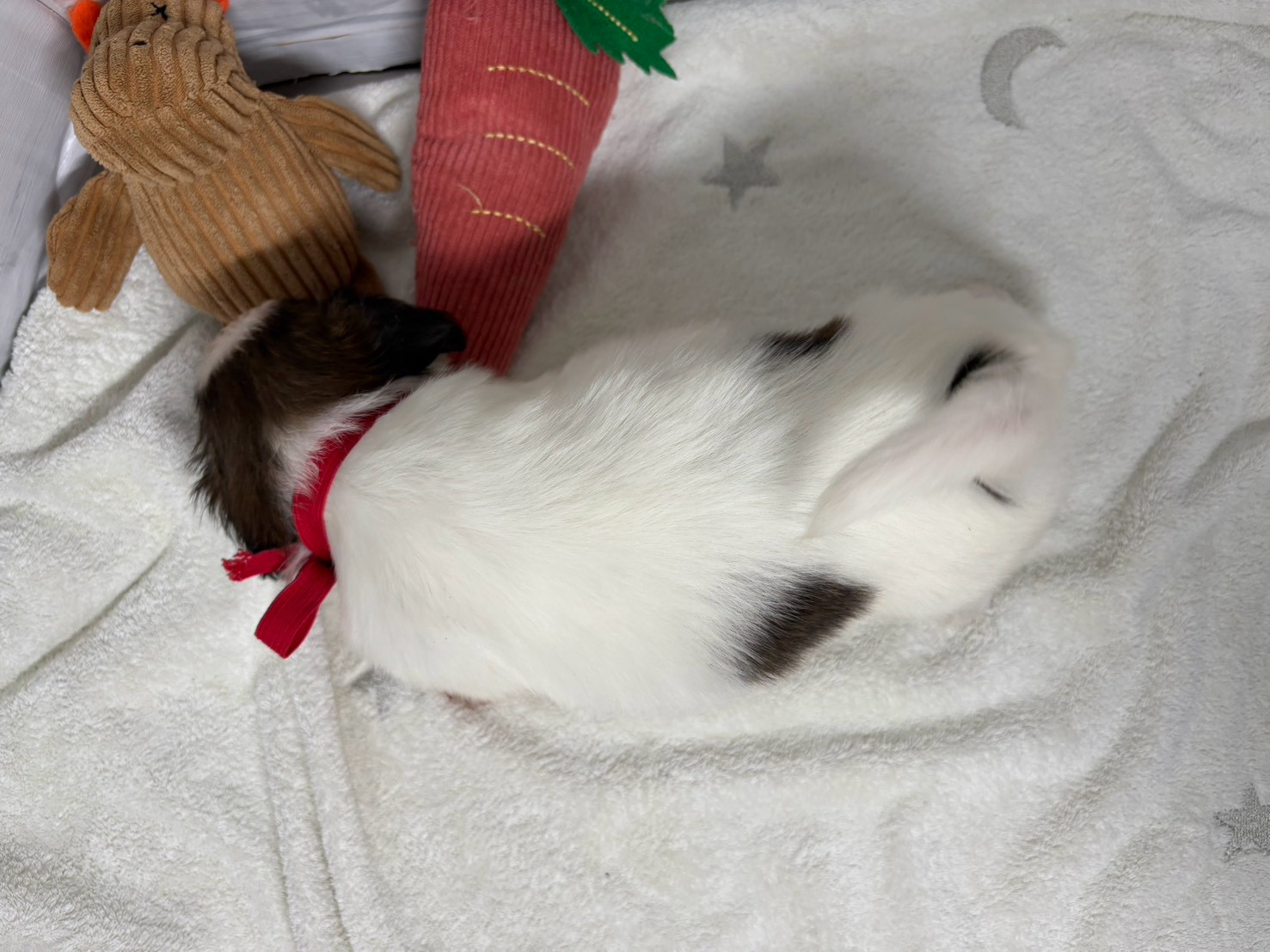 赤ちゃん写真2-3