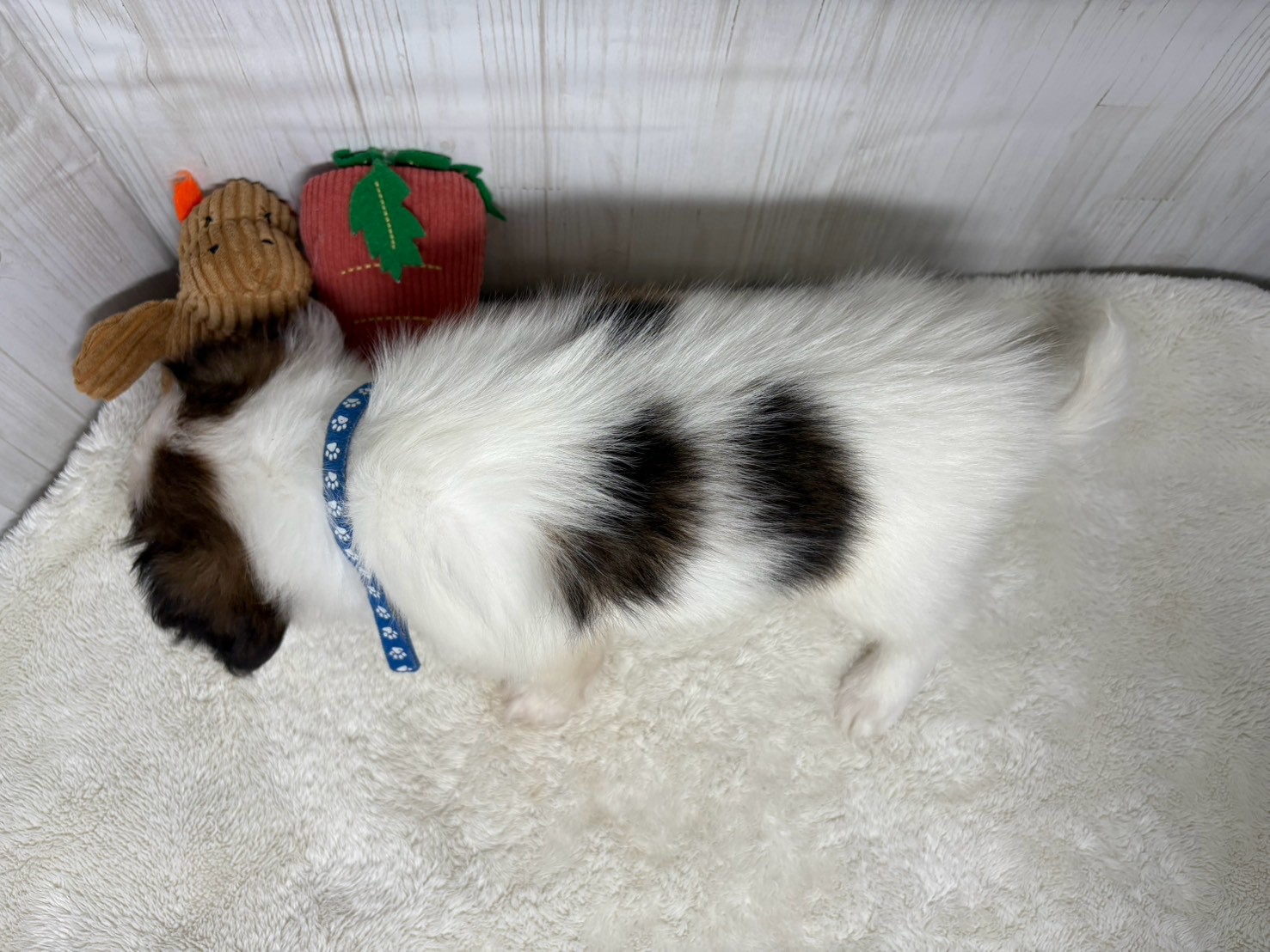 赤ちゃん写真3-3