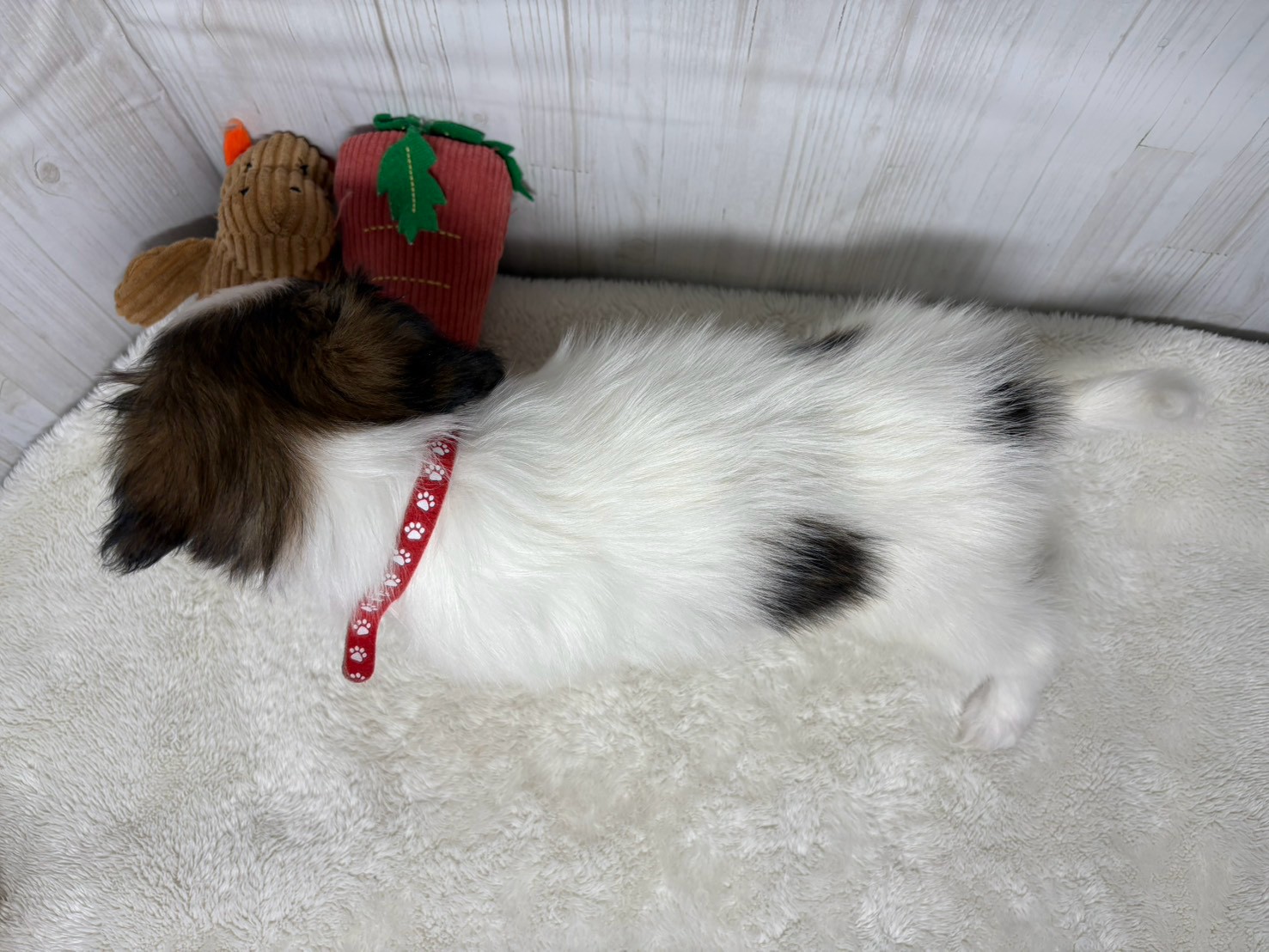 赤ちゃん写真3-3