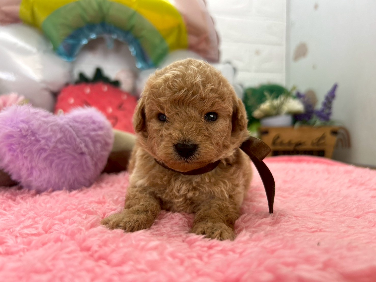 赤ちゃん写真2-1