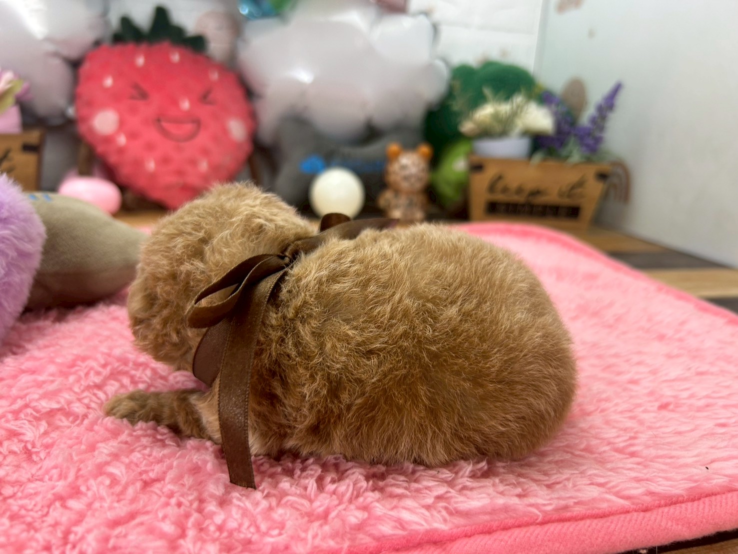 赤ちゃん写真2-2