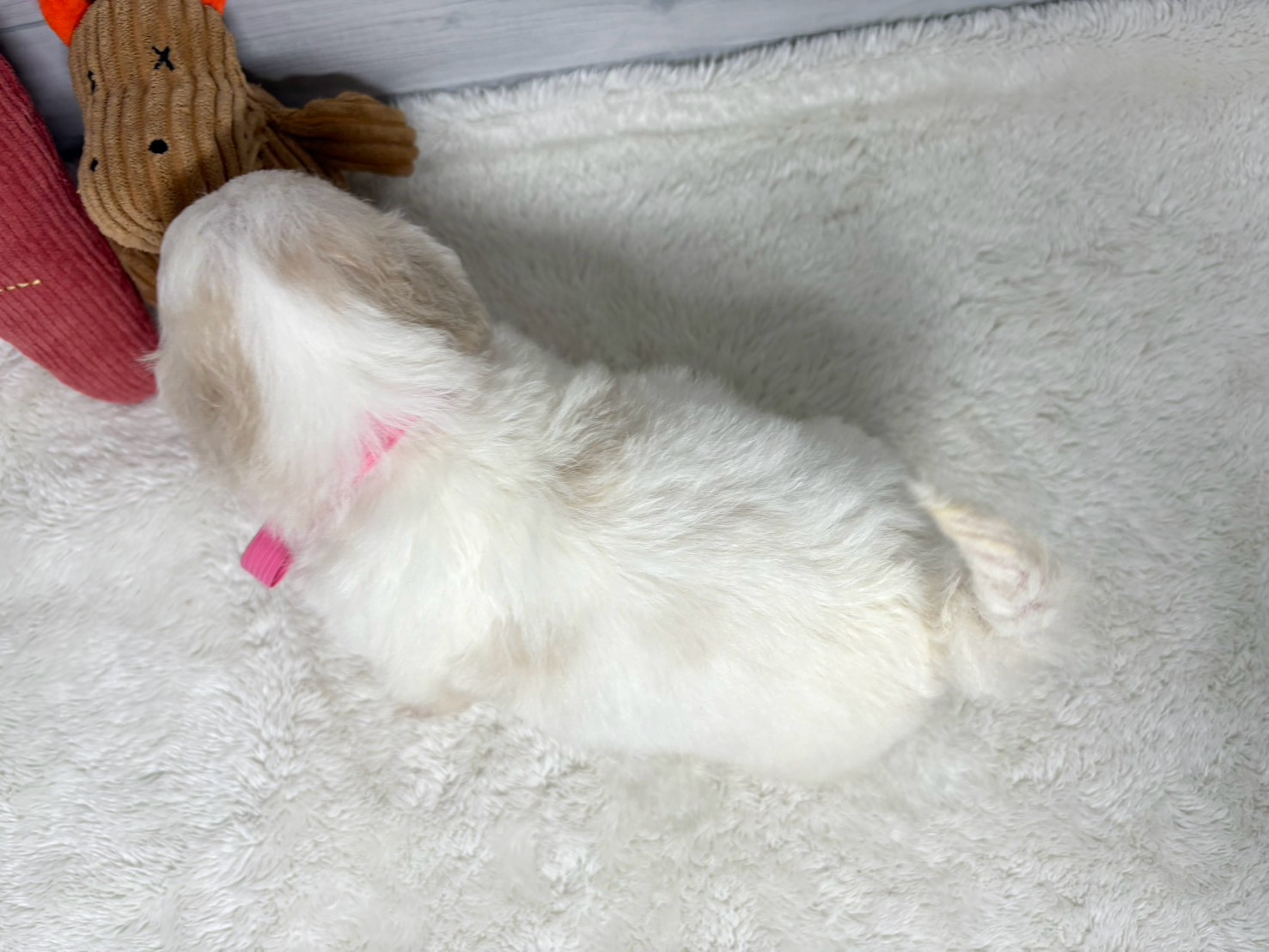 赤ちゃん写真2-3