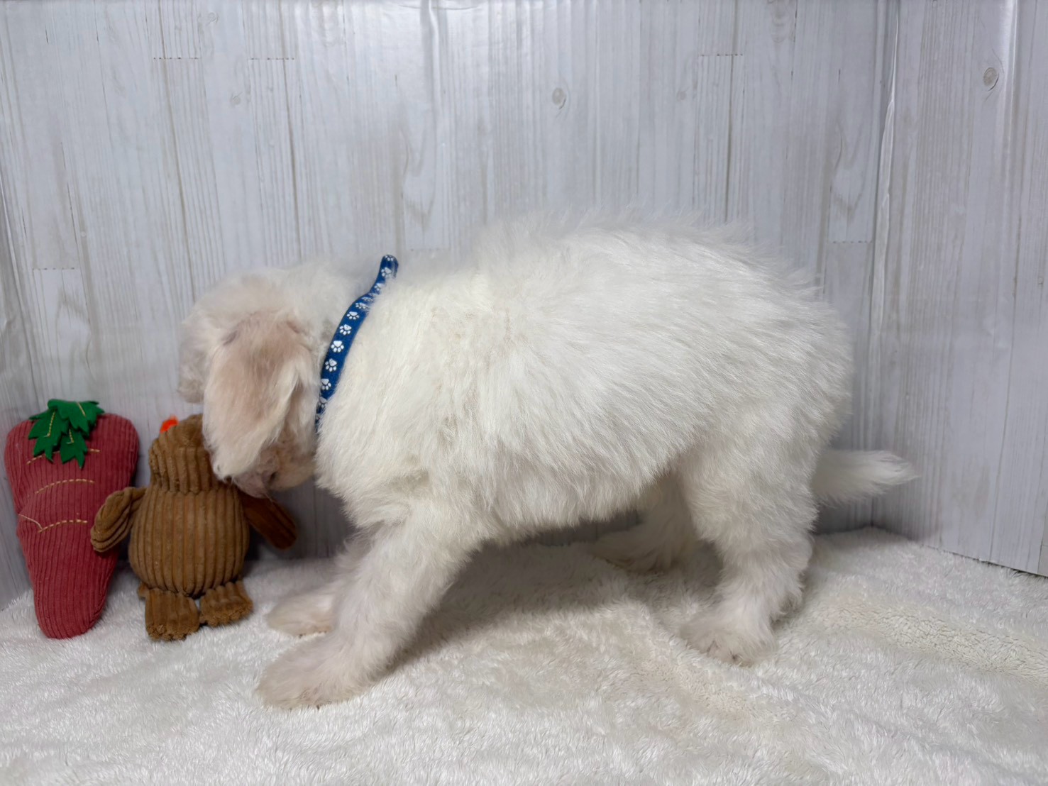 赤ちゃん写真3-2