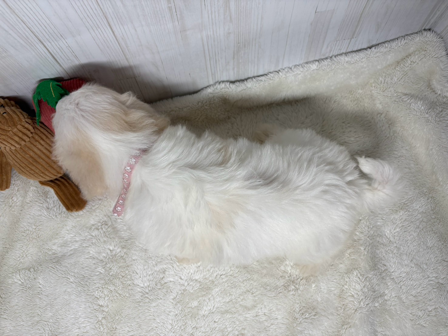 赤ちゃん写真3-3