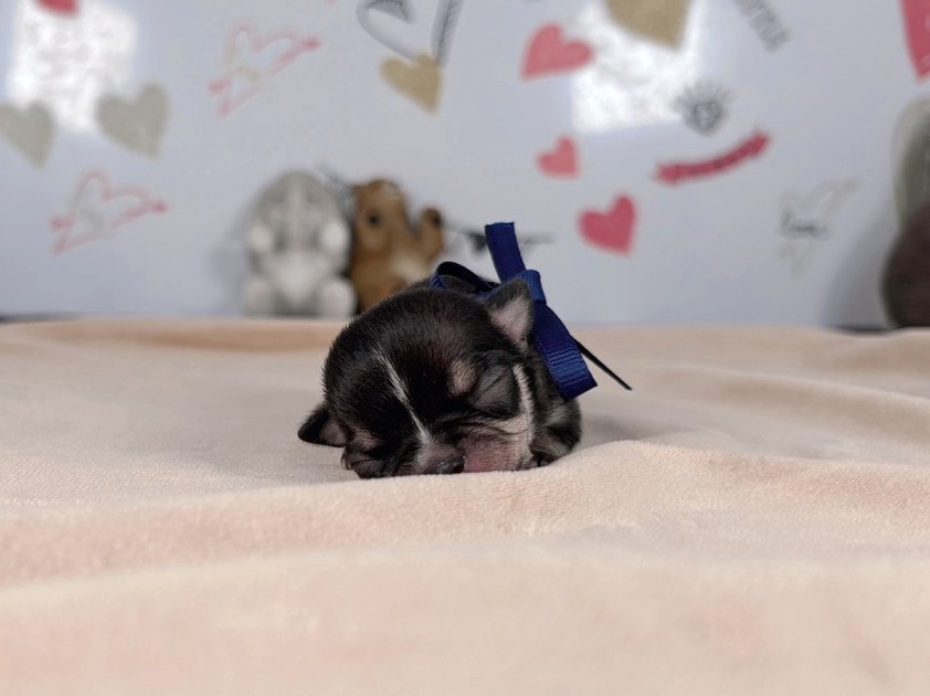 赤ちゃん写真1-1
