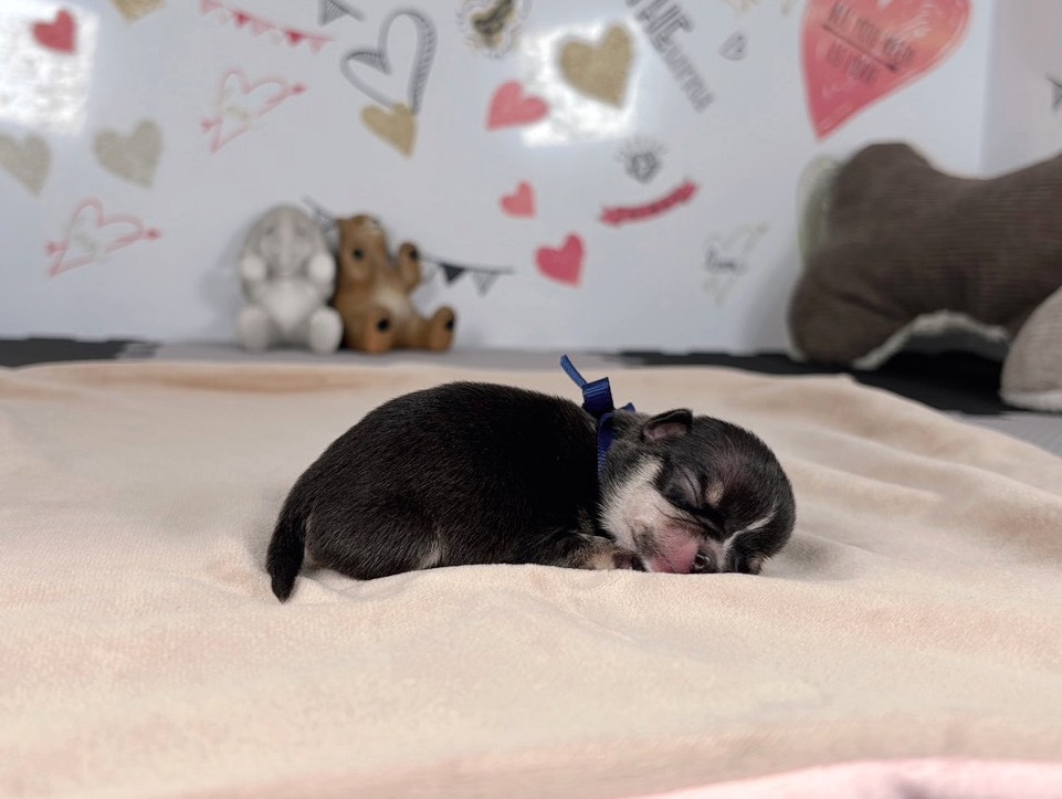 赤ちゃん写真1-2