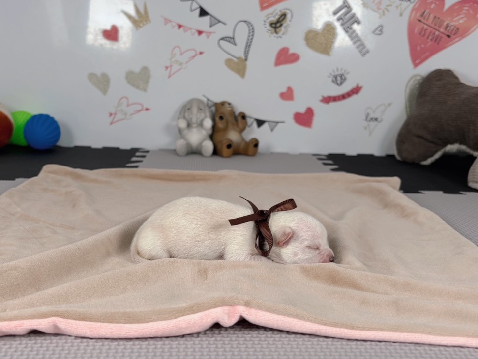 赤ちゃん写真1-2