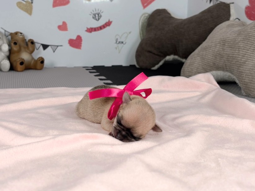 赤ちゃん写真1-1