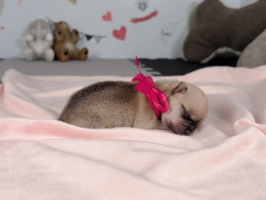 赤ちゃん写真1-2
