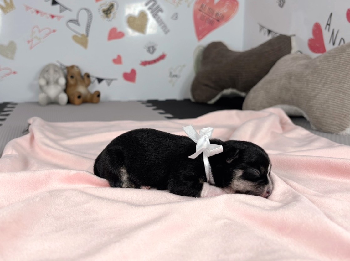 赤ちゃん写真1-2