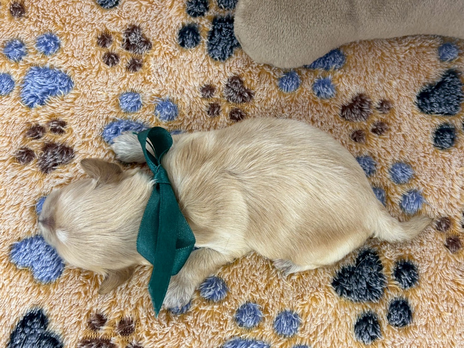 赤ちゃん写真1-3