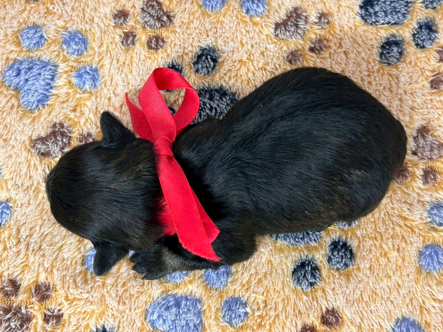 赤ちゃん写真1-3