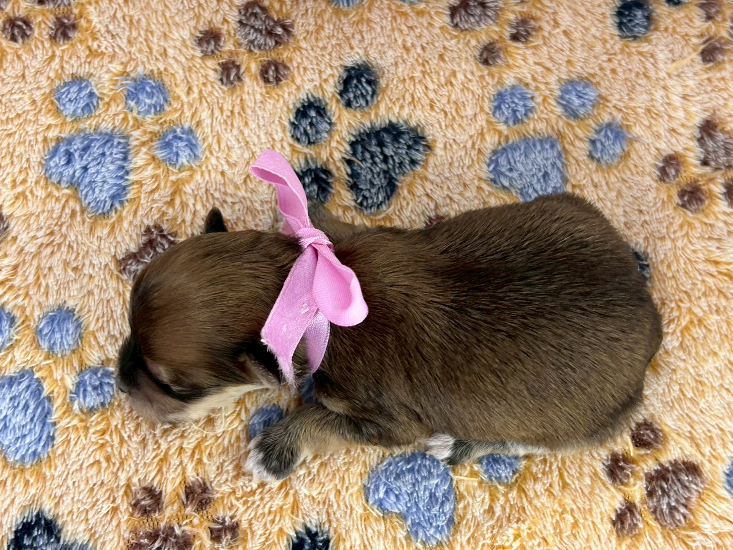 赤ちゃん写真1-3