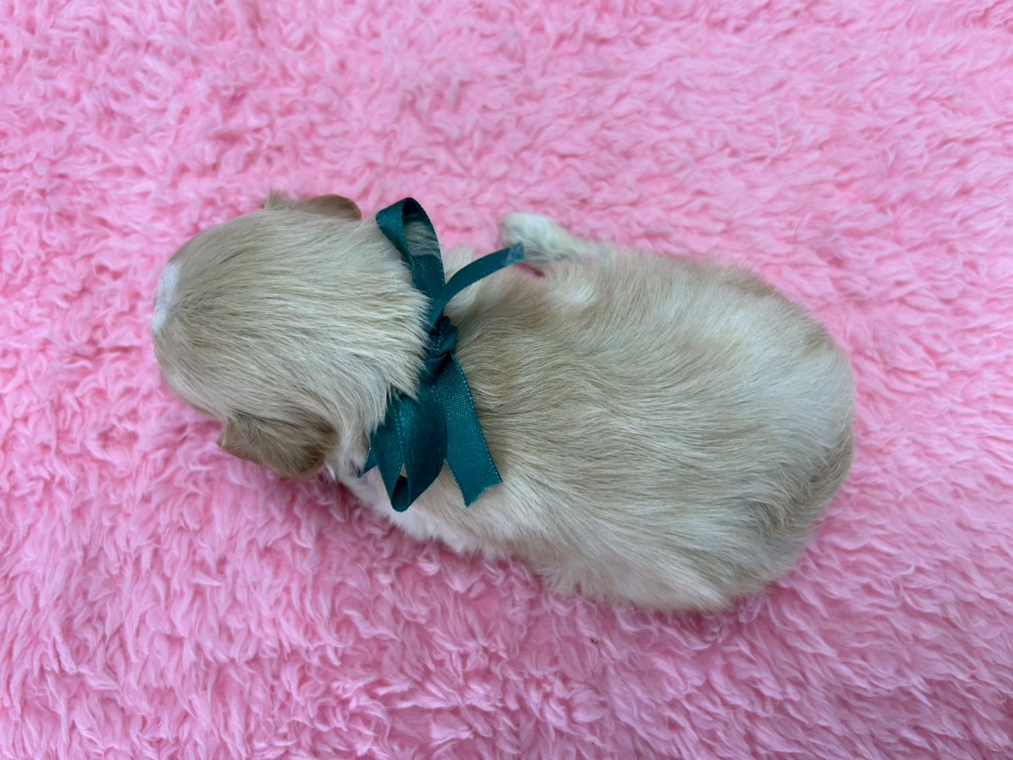 赤ちゃん写真2-3