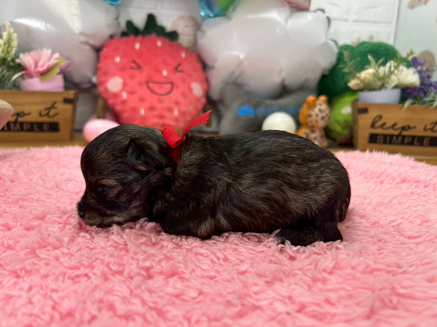 赤ちゃん写真2-2