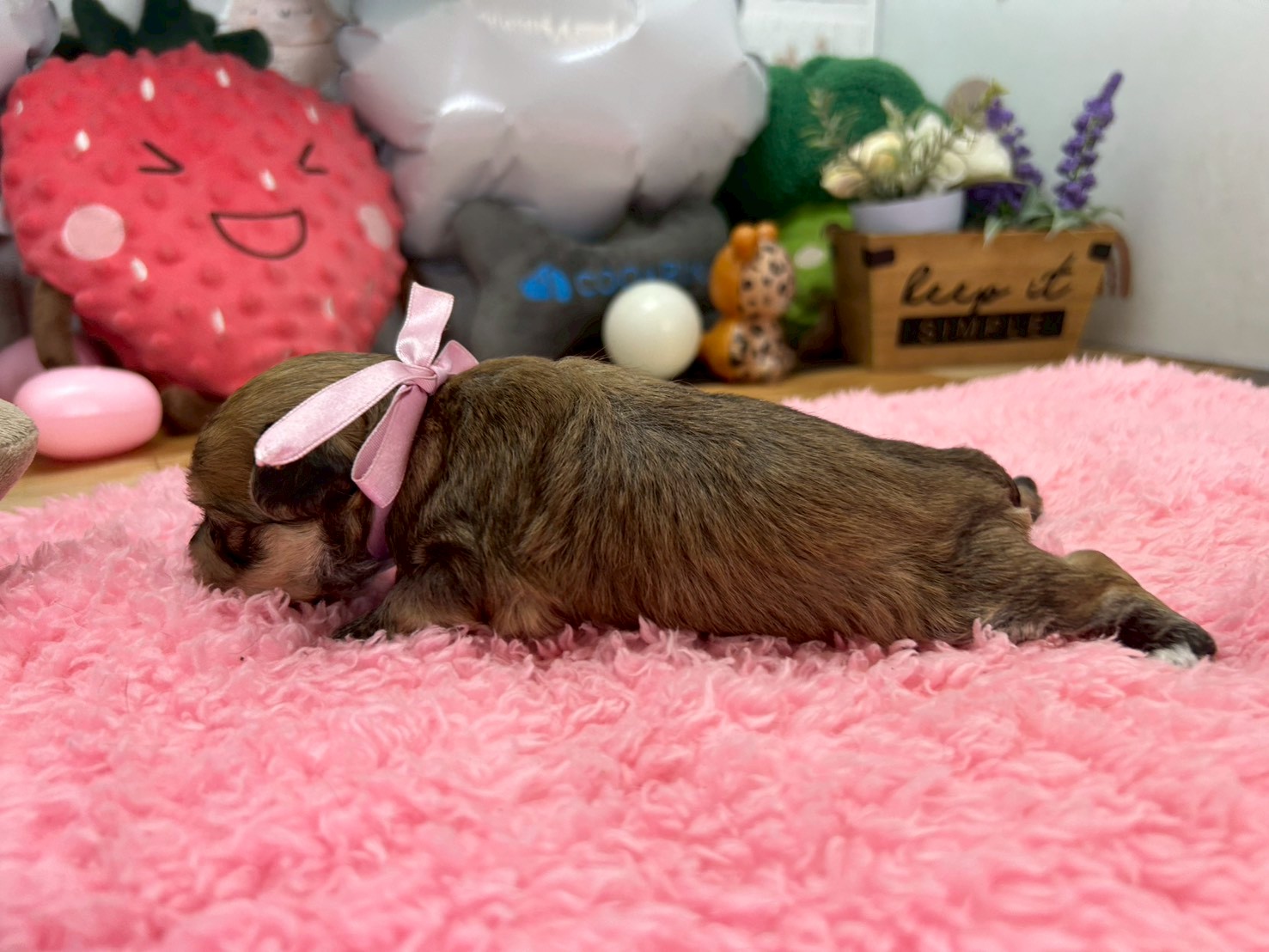 赤ちゃん写真2-2