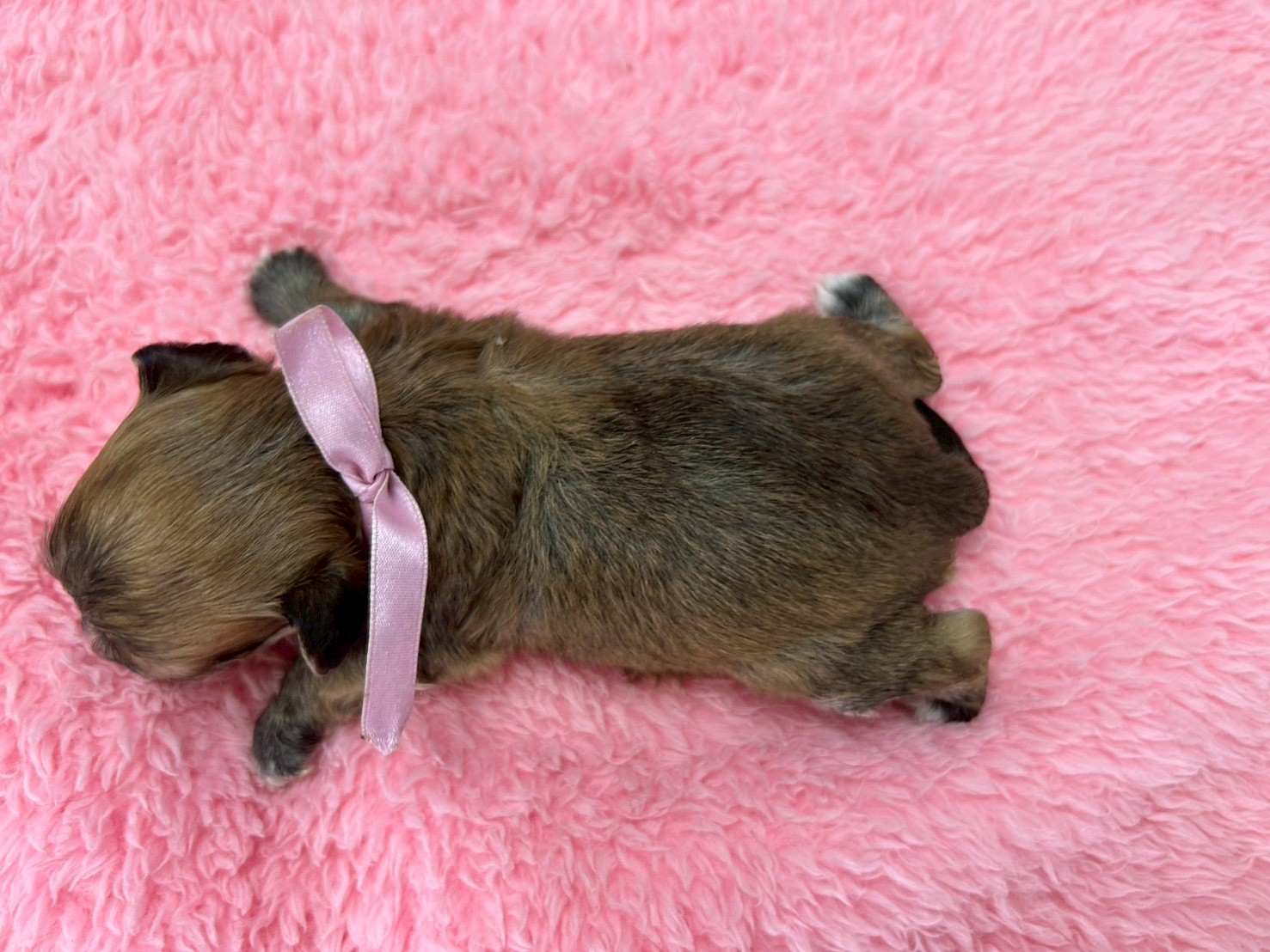 赤ちゃん写真2-3