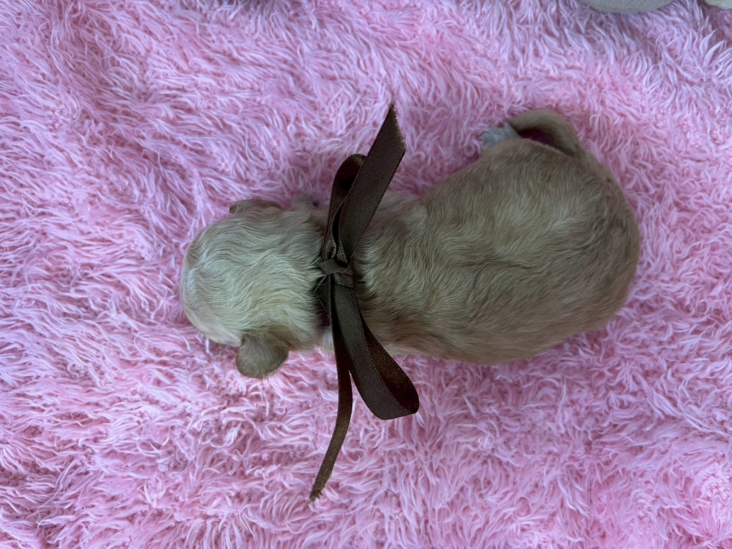 赤ちゃん写真1-3